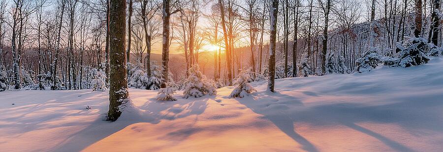 Sunset on new fallen snow